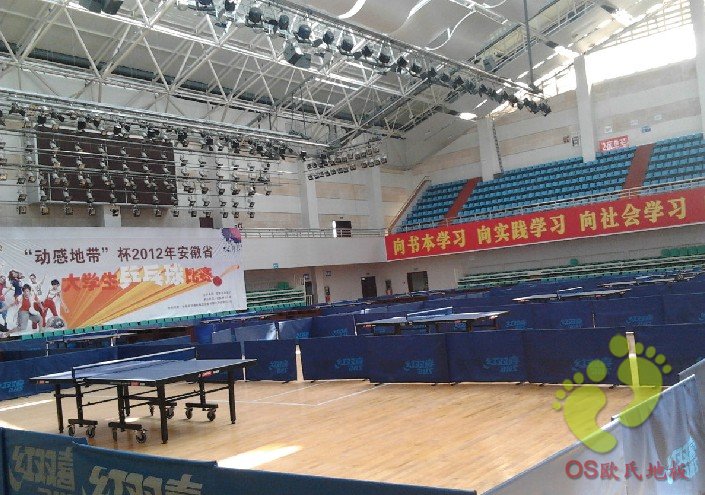 安徽財(cái)經(jīng)大學(xué)運(yùn)動(dòng)木地板案例