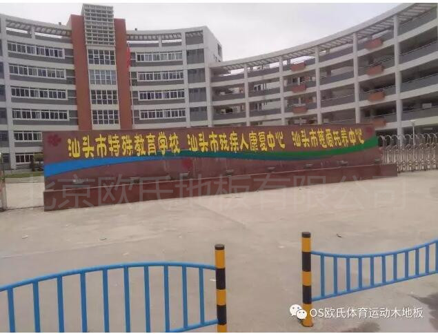 汕頭特殊教育學(xué)?；@球館木地板案例圖1