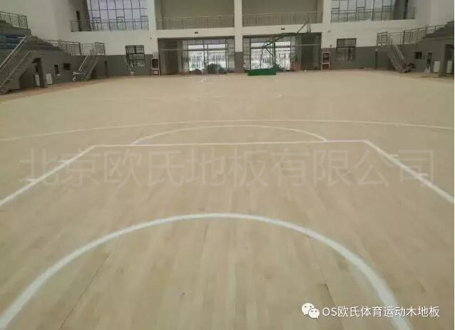 青海省黃南州體育館運(yùn)動木地板案例圖2