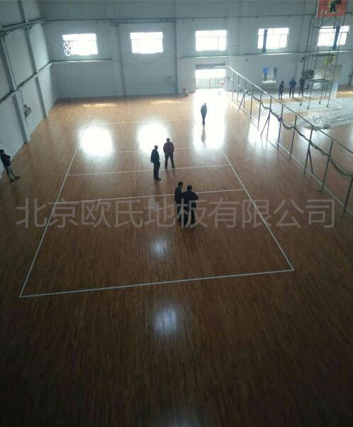 邢臺(tái)帥博體育體育館木地板案例圖3