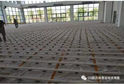 湖南華電常德發(fā)電有限公司運動木地板案例