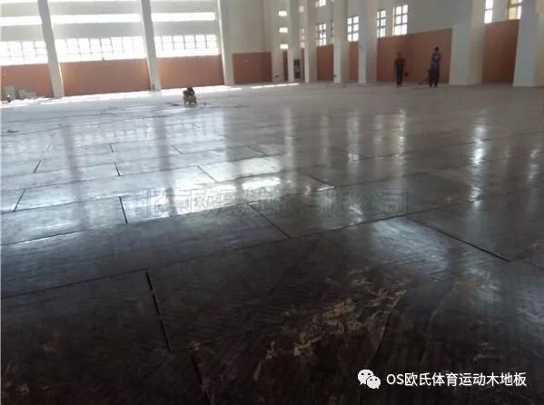 溫州甌海區(qū)外國語學(xué)校初中分校運動木地板案例