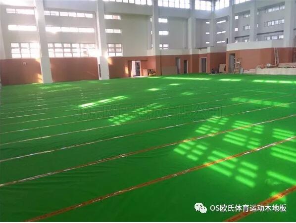溫州甌海區(qū)外國語學(xué)校初中分校運動木地板案例