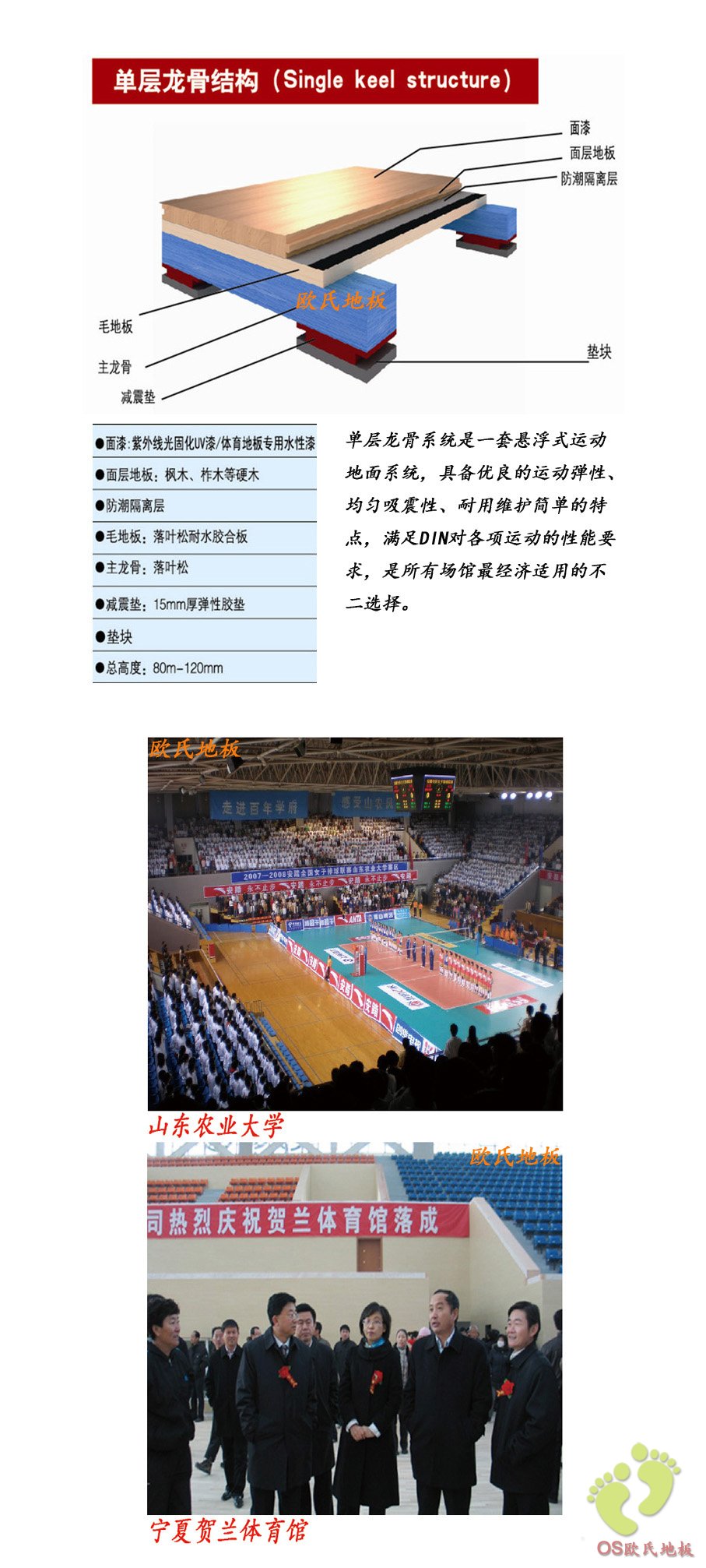 歐式地板體育運動地板單層龍骨結(jié)構(gòu)